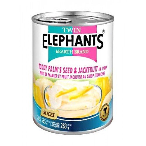 TWIN ELEPHANTS Toddy Palm Seed & Jackfruit In Syrup (Slices) 565g