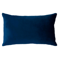 Netflix & Chill Needlepoint Cushion