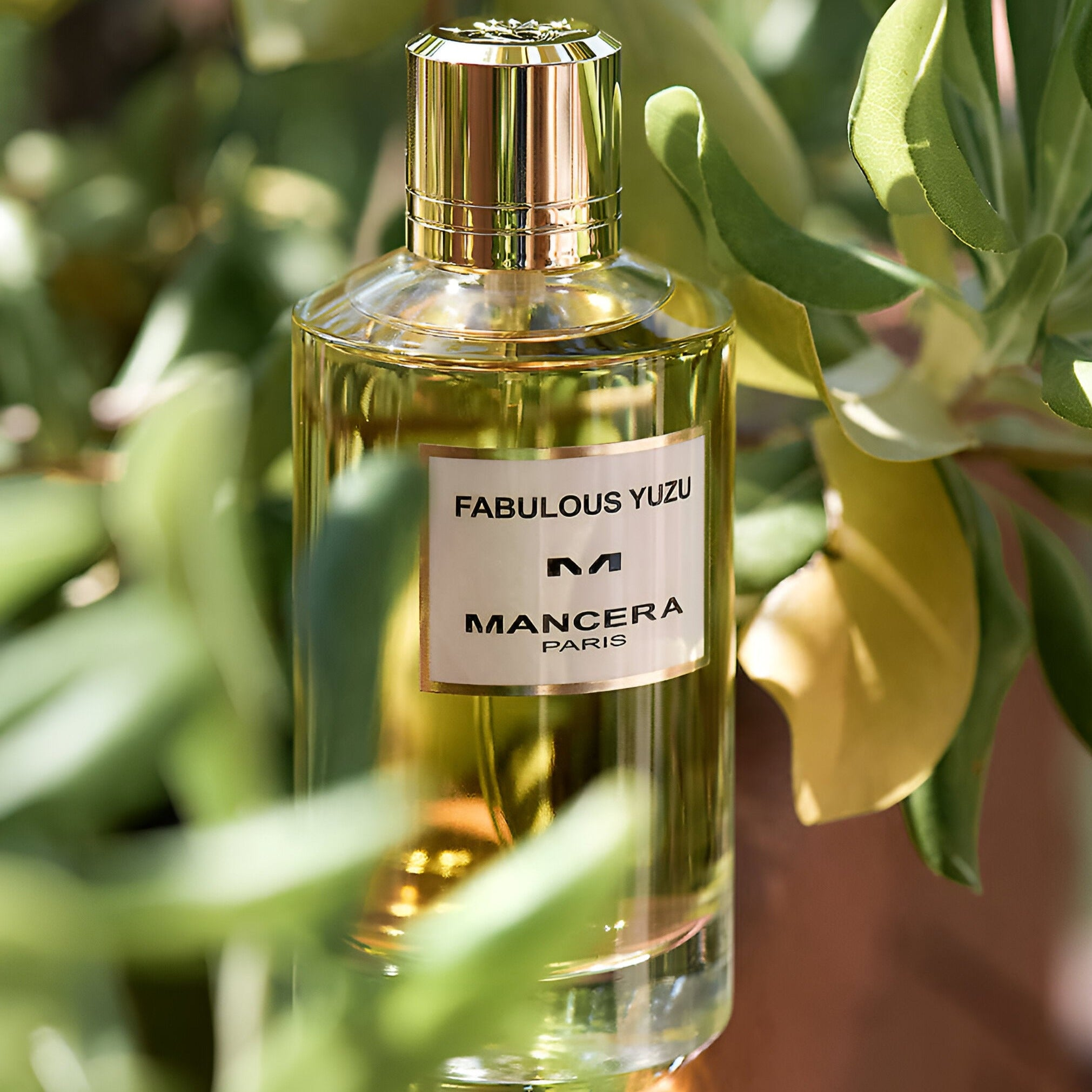 Mancera Fabulous Yuzu EDP Spray Unisex