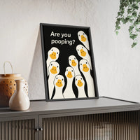 Curious Ducks and Bold Question