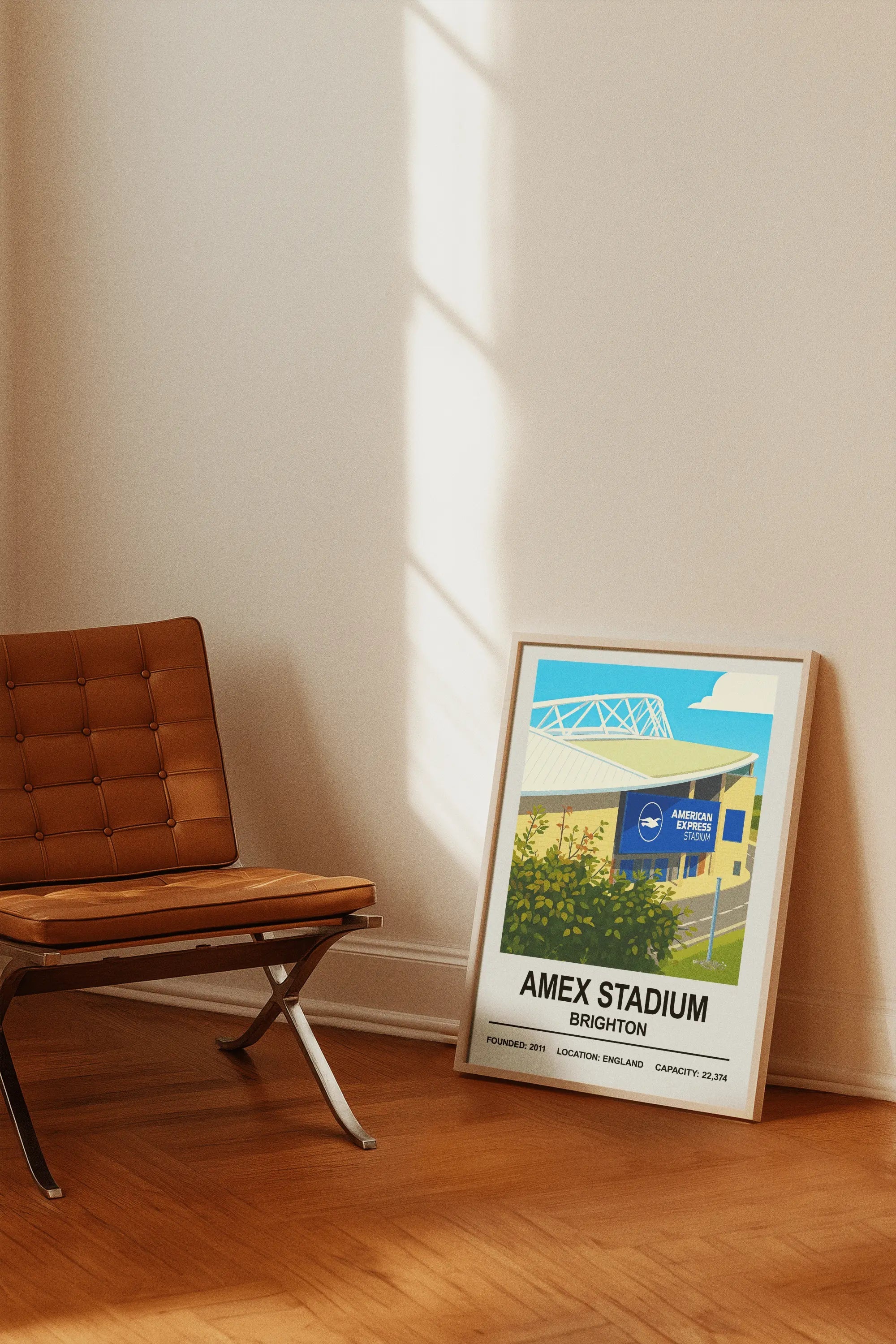 Brighton Amex Stadium Print