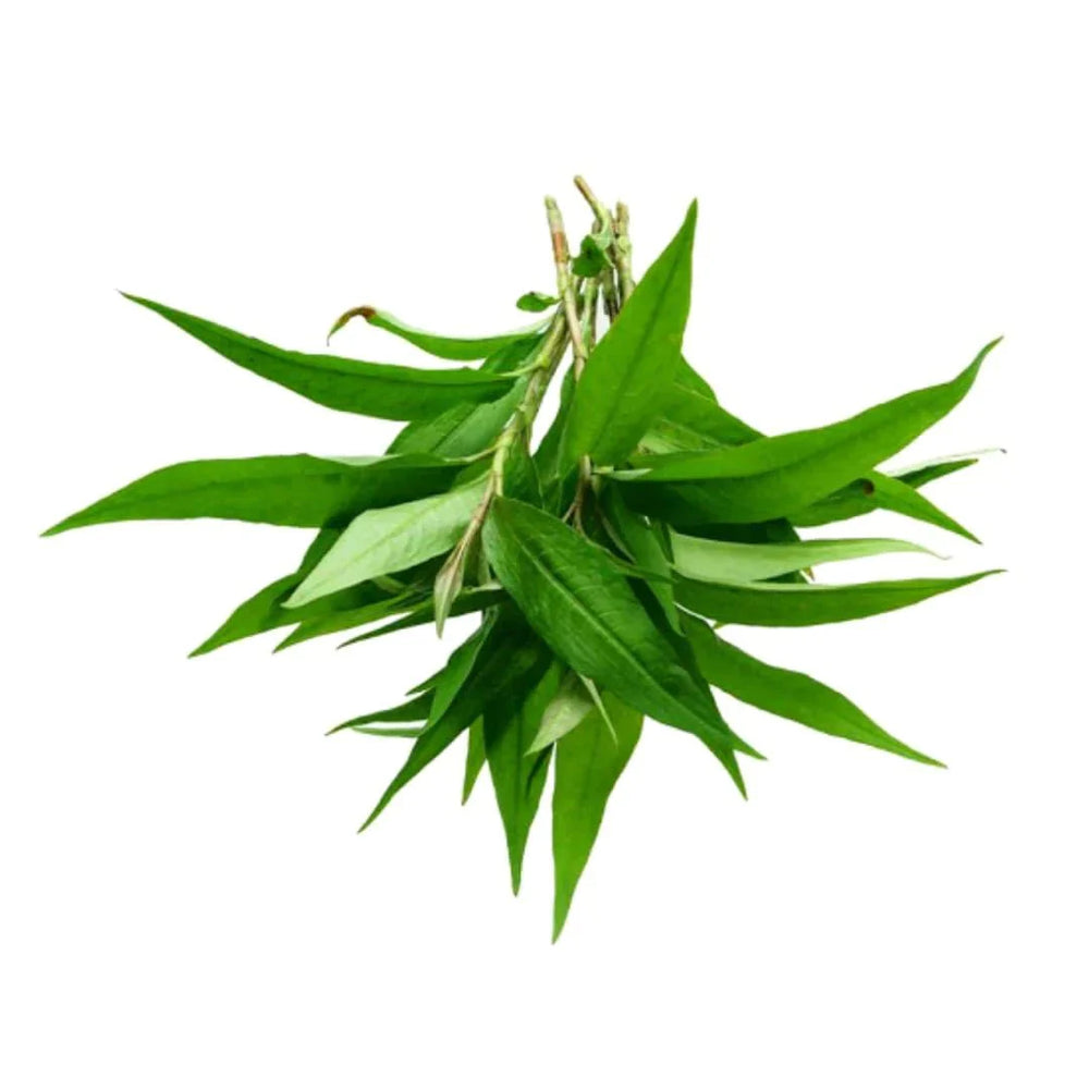 Fresh Vietnamese Coriander/Rau Ram 100g