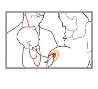 Twin Stethoscope