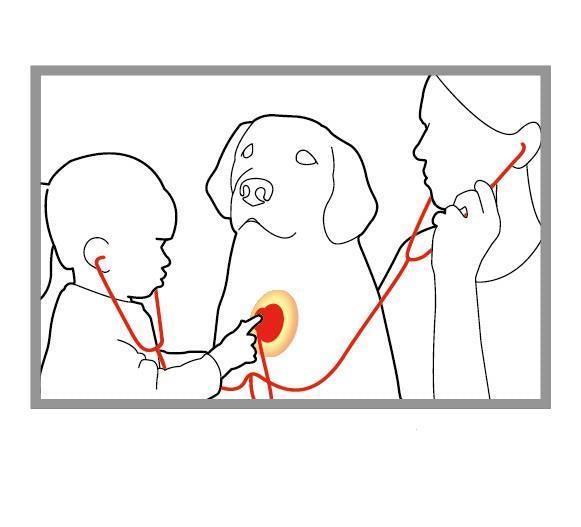 Twin Stethoscope