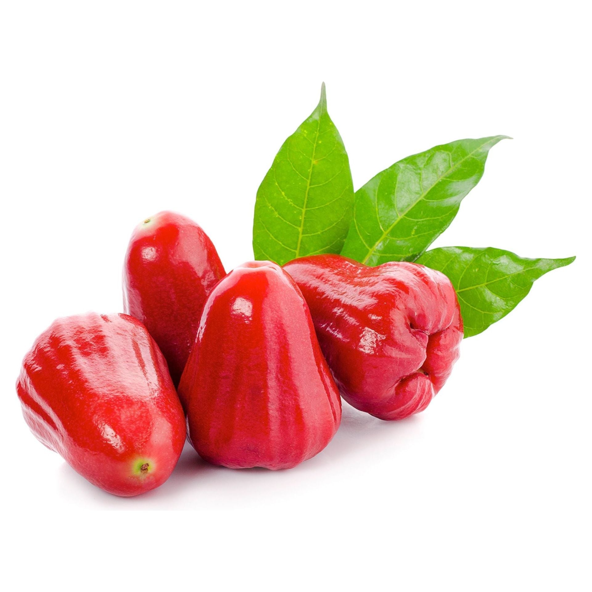 Fresh Rose Apple 500g