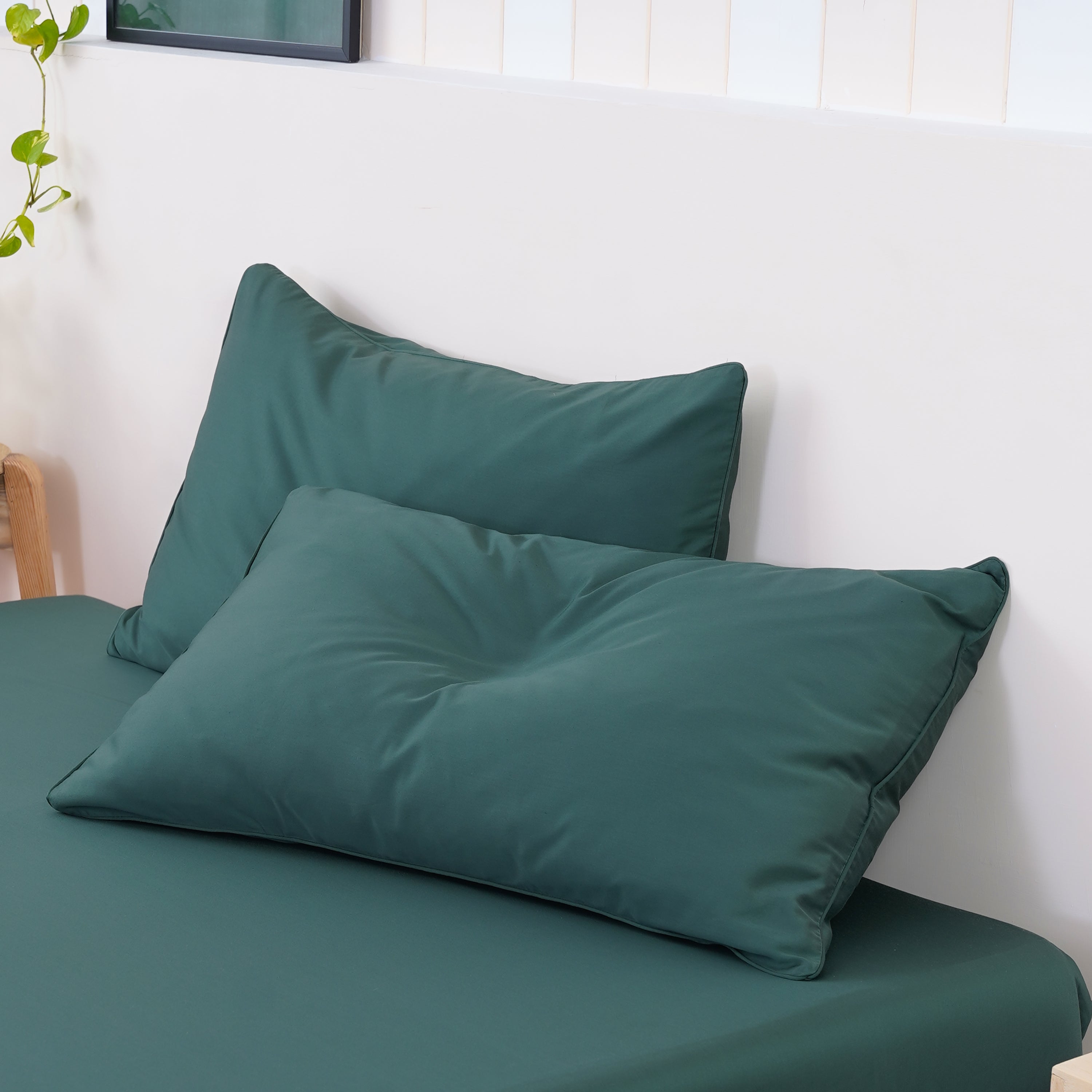 Ackly Bamboo Royal Green Luxury Pillowcases Pair