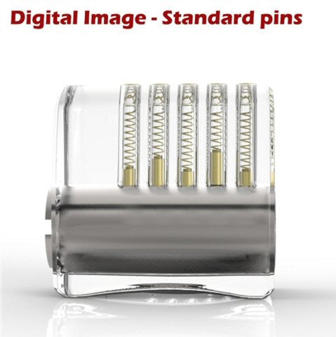 Dangerfield Clear Acrylic Practice Lock - Standard Pins