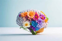 The Headease Collection - Essential Oils for Migraine, Headache &  Overwhelm Relief