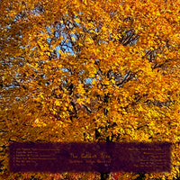 The Golden Tree - Scottish Songs Observed Volume 1