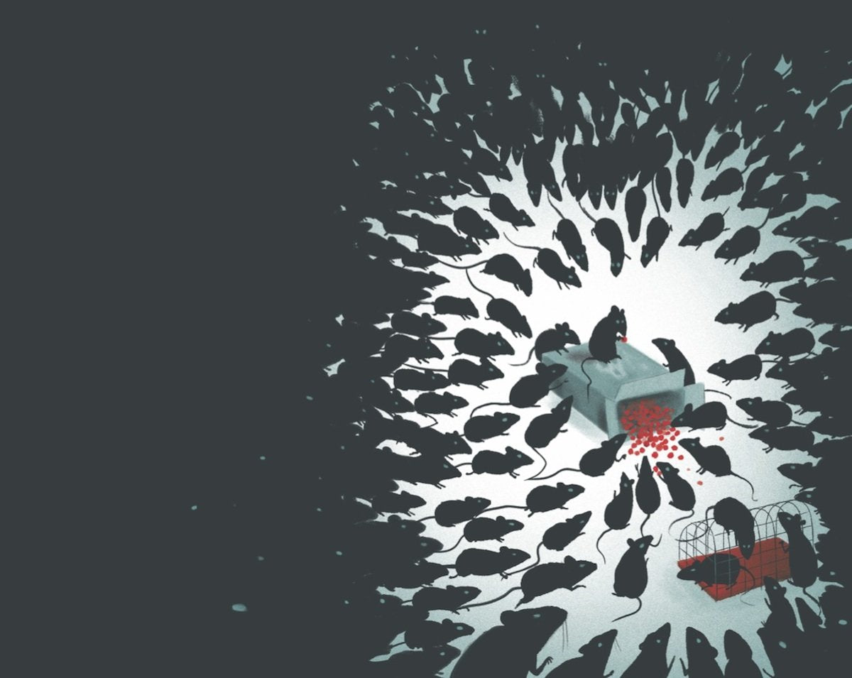 The Pied Piper of Hamelin